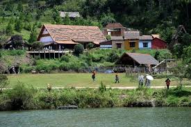 Weed in Hoa Binh